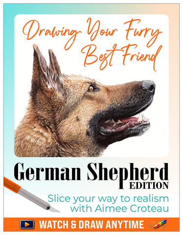 Video Workshop: Drawing Your Furry Best Friend - German Shepherd Edition Pajama Class with Aimee Croteau