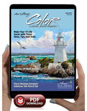 January 2024 - Ann Kullberg's COLOR Magazine - Instant Download