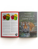 May 2026 - Ann Kullberg's COLOR Magazine - Instant Download