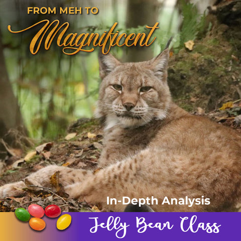 From Meh to Magnificent: In-Depth Analysis - Jelly Bean Class with France Bauduin