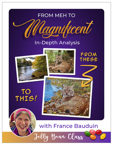 From Meh to Magnificent: In-Depth Analysis - Jelly Bean Class with France Bauduin