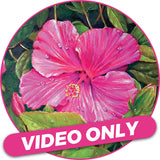 Video Workshop: Morning Hibiscus with Mark Menendez