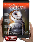 November 2025 - Ann Kullberg's COLOR Magazine - Instant Download