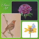 Surfaces Unleashed! 5-Part Series Pajama Class with Oksana Burr