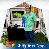 Outdoor Art Shows - More than Your Art - Jelly Bean Class with Philip Schorn