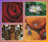 Southwest Glow - Pajama Class with Amy Lindenberger