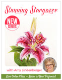 Stunning Stargazer Series Pajama Class with Amy Lindenberger