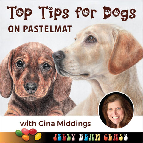 Top Tips for Drawing Dogs on Pastelmat - Jelly Bean Class with Gina Middings