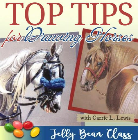 Top Tips for Drawing Horses - Jelly Bean Class with Carrie Lewis