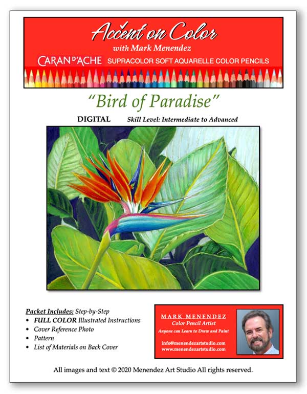 Mark Menendez: Bird of Paradise Water-Soluble Colored Pencil Tutorial