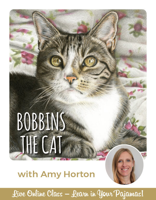 Bobbins the Cat - Pajama Class with Amy Horton