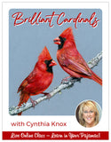 Brilliant Cardinals - Pajama Class with Cynthia Knox