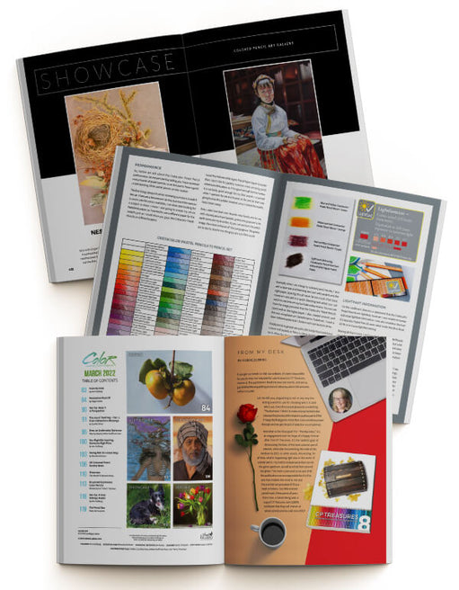 COLOR 2022 Entire year of issues - COLOR Magazine Collection Book