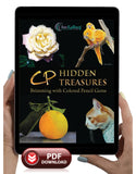CP Hidden Treasures