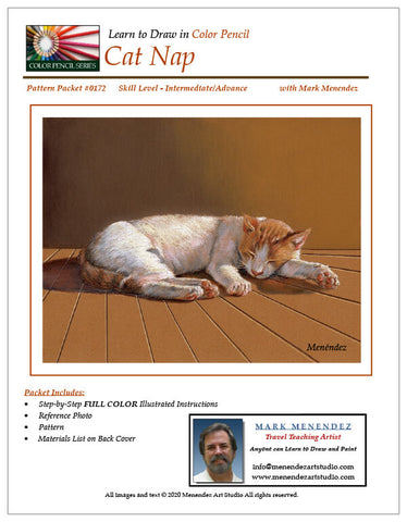 Mark Menendez: Cat Nap Colored Pencil Tutorial