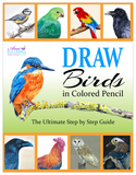 DRAW Birds in Colored Pencil