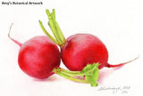 Botanical Art: What Is It, Exactly? - Jelly Bean Class with Amy Lindenberger