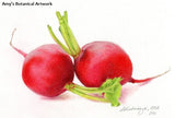 Botanical Art: Blends & Shapes - Jelly Bean Class with Amy Lindenberger