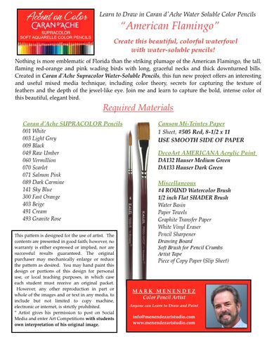 Mark Menendez: American Flamingo Water-Soluble Colored Pencil Tutorial