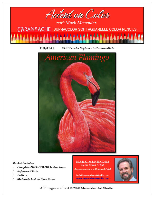 Water-Soluble　Flamingo　Mark　Colored　Menendez:　American　Pencil　Tutorial