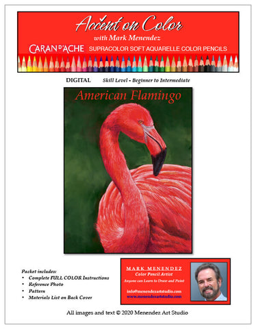 Mark Menendez: American Flamingo Water-Soluble Colored Pencil Tutorial