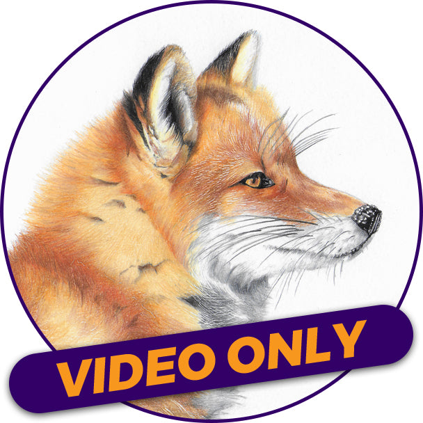 Video Workshop: Furry Fox - with Judith Selcuk