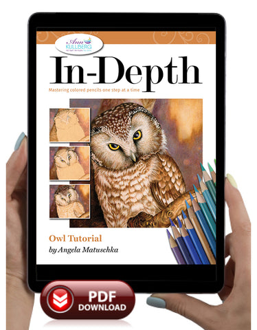 Owl: In-Depth Colored Pencil Tutorial