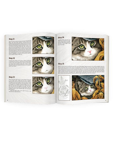 Peeking Kitten Project Kit - Learn colored pencil at home ...