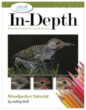 Woodpecker: In-Depth Colored Pencil Tutorial