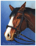 Bay Horse Colored Pencil Project Kit