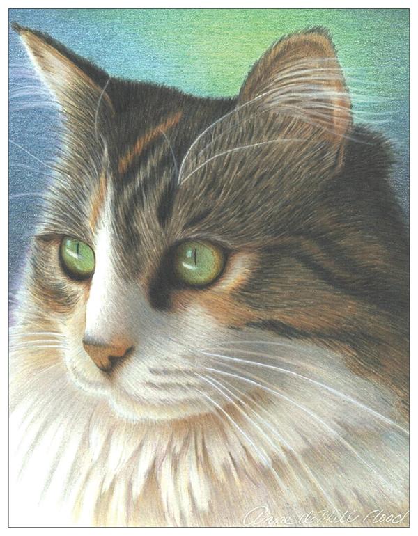 Cat Colored Pencil Project Kit