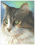 Cat Colored Pencil Project Kit