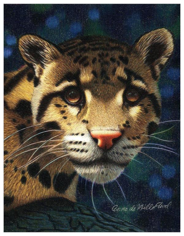Leopard Colored Pencil Project Kit