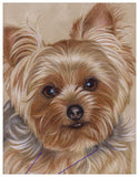 Yorkie Colored Pencil Project Kit