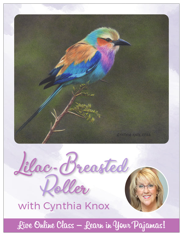 Lilac Breasted Roller - Pajama Class with Cynthia Knox