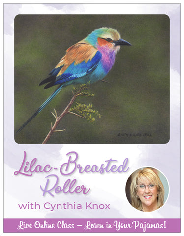 Lilac Breasted Roller - Pajama Class with Cynthia Knox