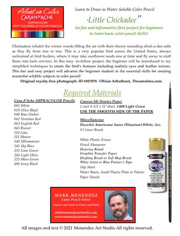 Mark Menendez: Amaryllis Colored Pencil Tutorial