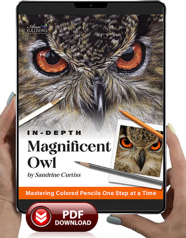 Magnificent Owl: In-Depth Colored Pencil Tutorial