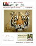 Mark Menendez: Bengal Tiger Colored Pencil Tutorial