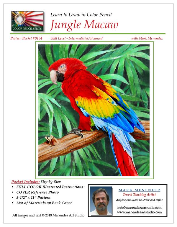 Mark Menendez: Jungle Macaw Colored Pencil Tutorial