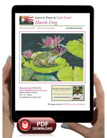 Mark Menendez: Marsh Frog Colored Pencil Tutorial