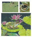 Mark Menendez: Marsh Frog Colored Pencil Tutorial
