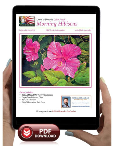 Mark Menendez: Morning Hibiscus Colored Pencil Tutorial