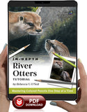 River Otters: In-Depth Colored Pencil Tutorial