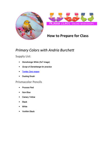 Primary Colors Pajama Class with Andria Burchett