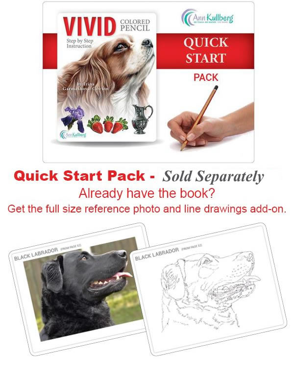 Vivid Colored Pencil Quick Start Pack