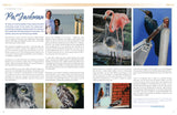 CP Magazine - June 2013 Digital Download
