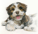 Fluffy Puppy on Pastelmat - Pajama Class with Amy Lindenberger